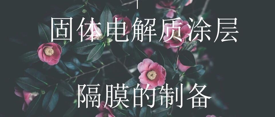 锂电池-材料-固体电解质图层隔膜的制备